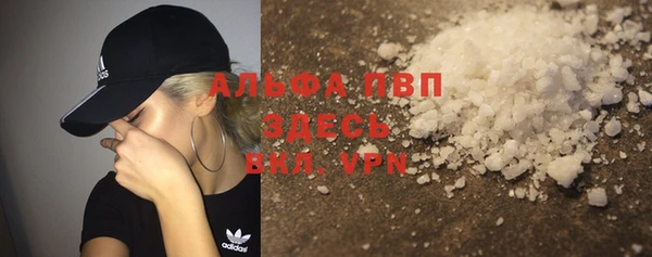 гидра Арсеньев