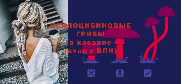 ECSTASY Семилуки