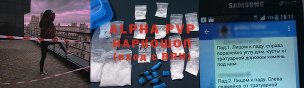 гидра Арсеньев