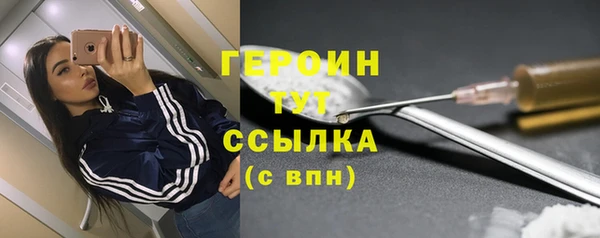 гидра Арсеньев