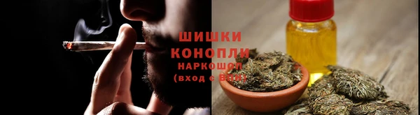 гидра Арсеньев