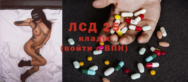гидра Арсеньев