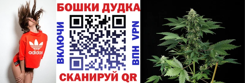 Бошки марихуана SATIVA & INDICA  Мирный 